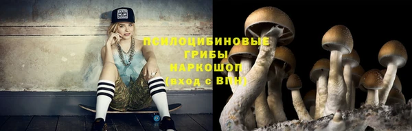 стафф Армянск