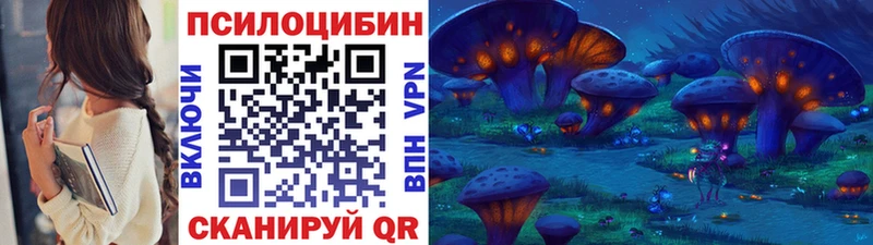 закладка  Отрадный  Псилоцибиновые грибы ЛСД 